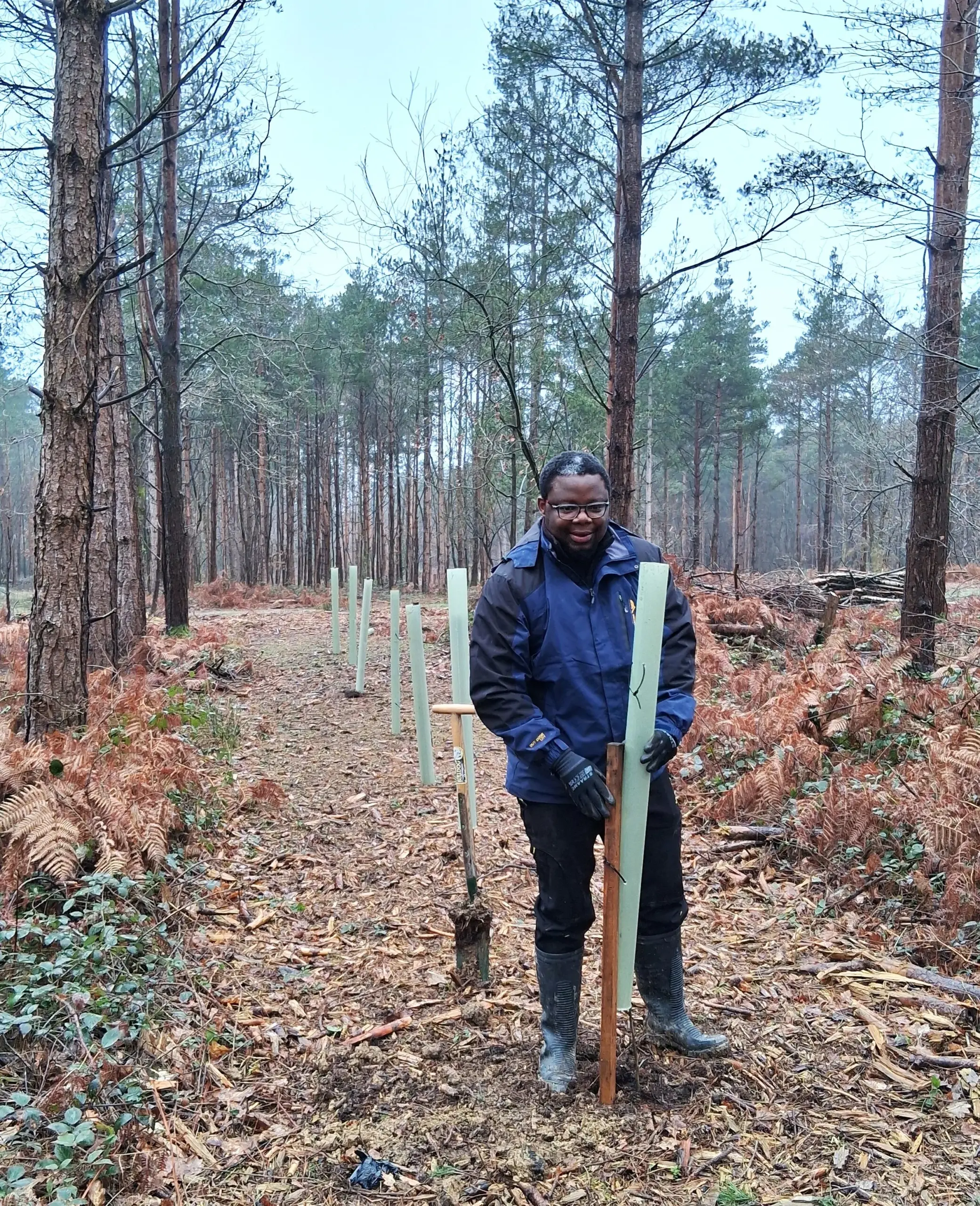 Laughton-Greenwood-Tree-Planting-2
