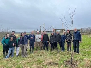 agroforestry-planting-on-a-mob-grazed-field-in-east-sussex-8