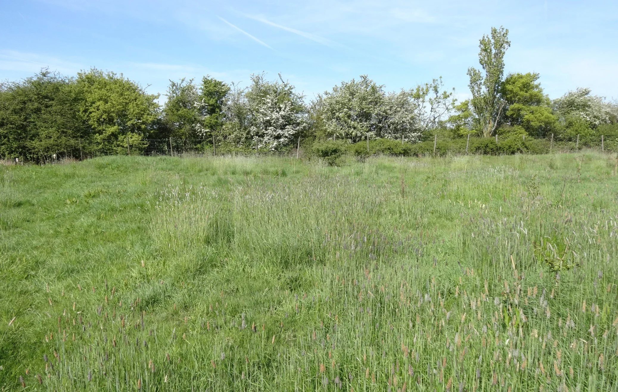 woodland-creation-and-mature-woodland-management-in-oxfordshire-2