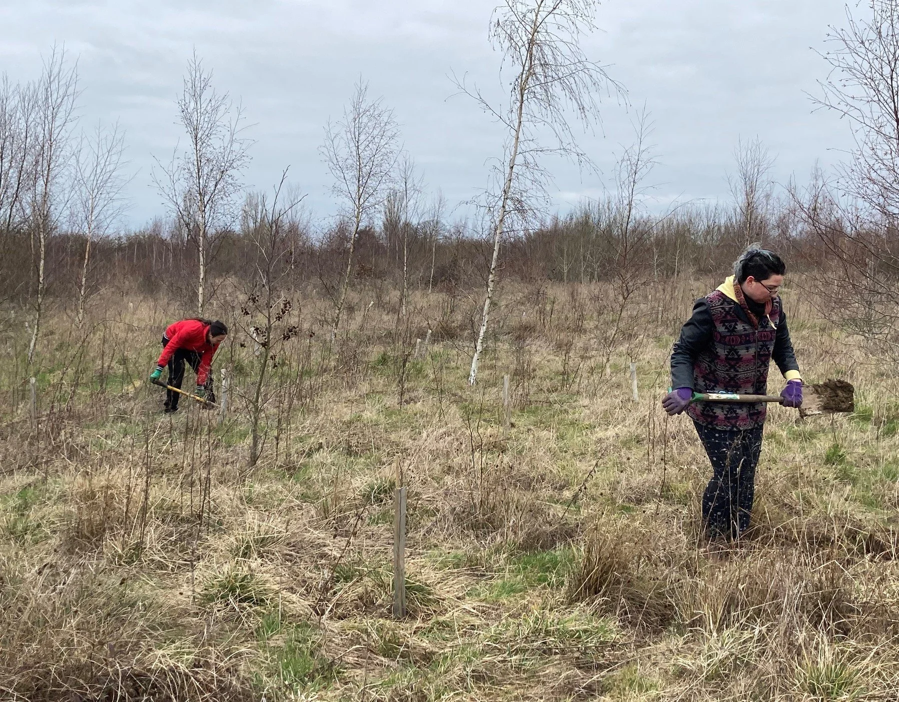 woodland-creation-and-mature-woodland-management-in-oxfordshire-6