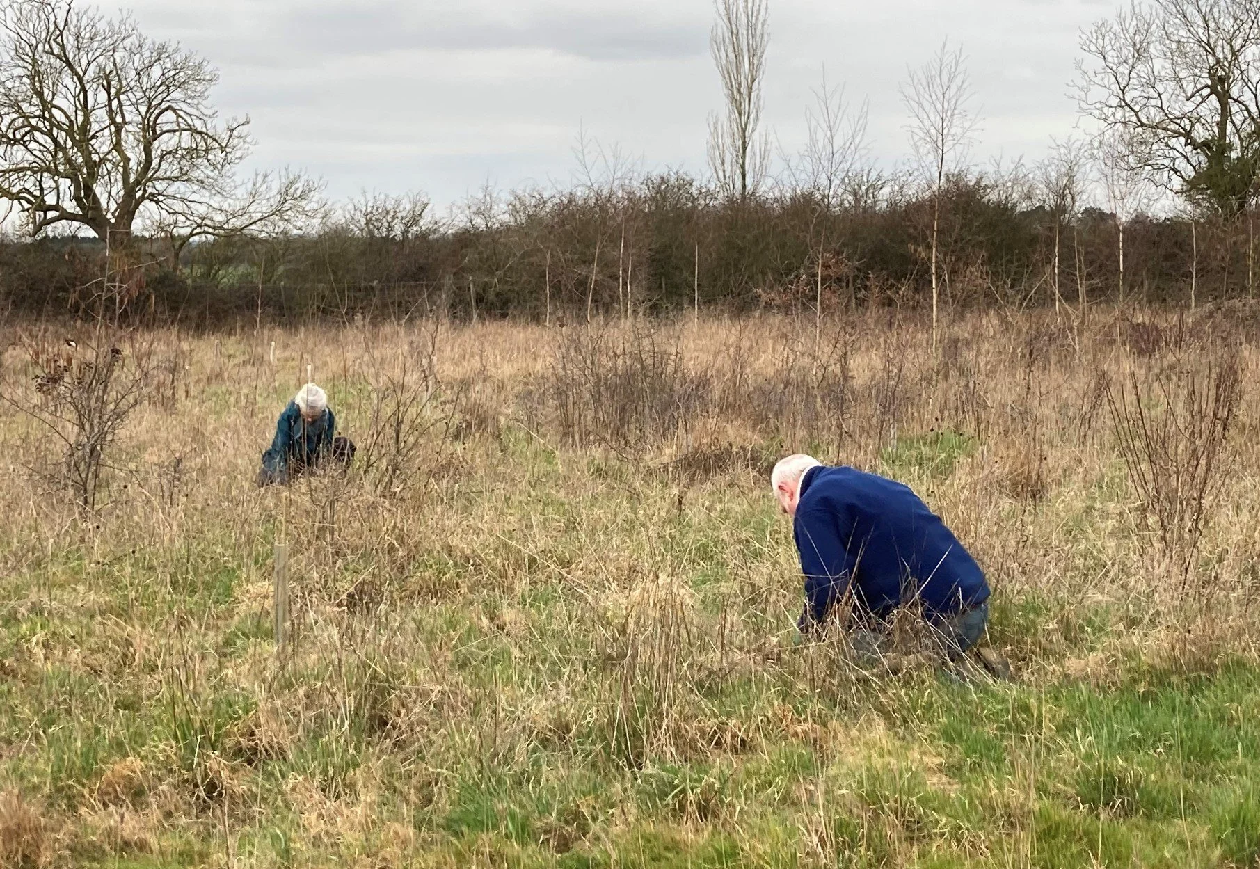 woodland-creation-and-mature-woodland-management-in-oxfordshire-7