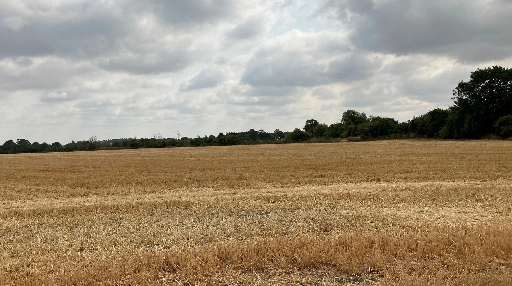 woodland-habitat-creation-in-oxfordshire-3