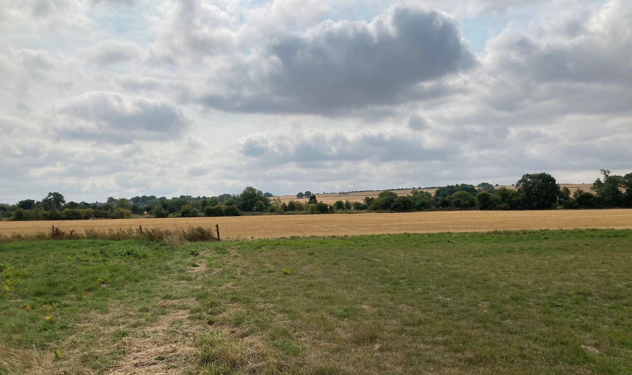 woodland-habitat-creation-in-oxfordshire-4
