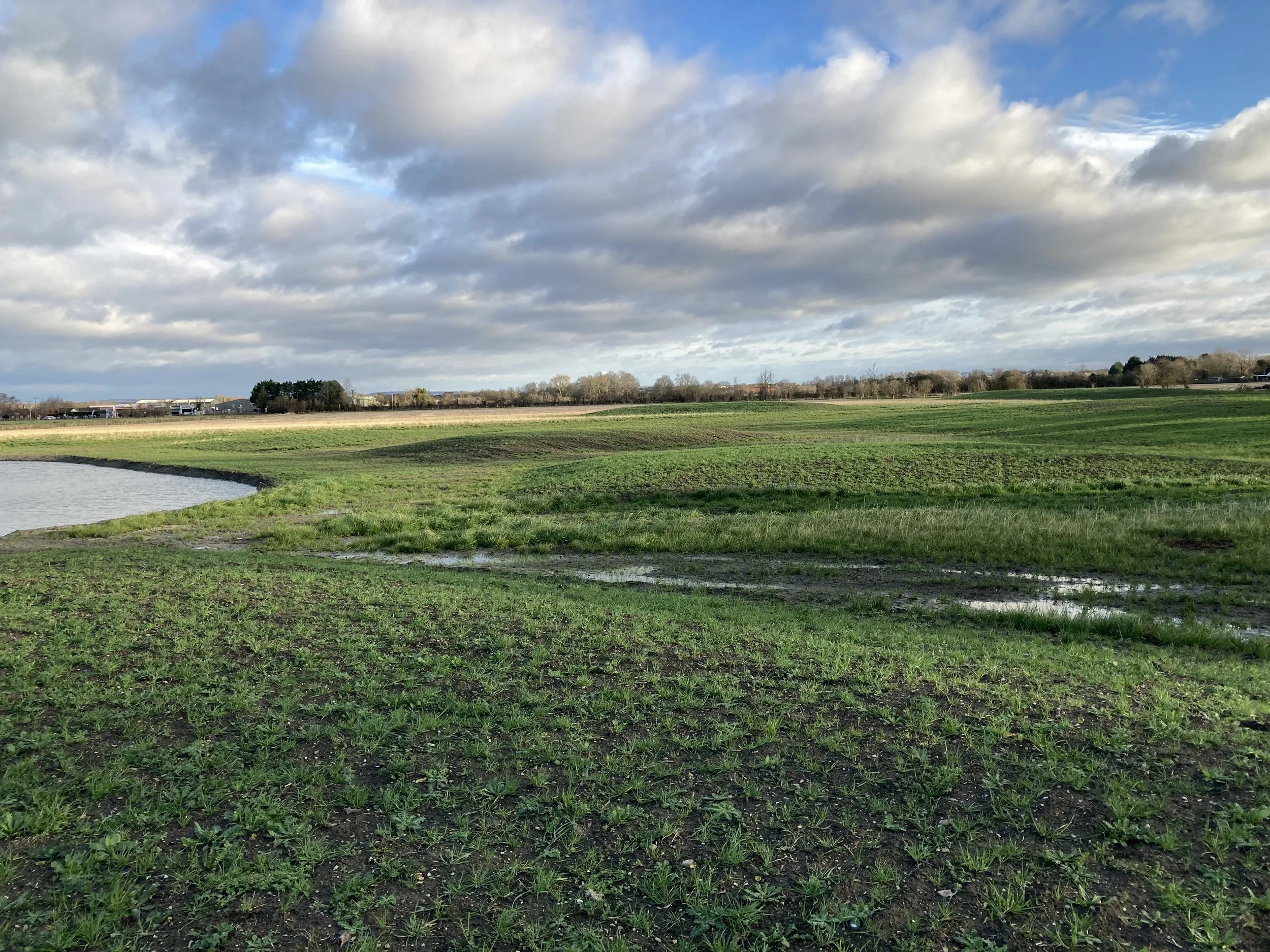 woodland-habitat-creation-in-oxfordshire-7