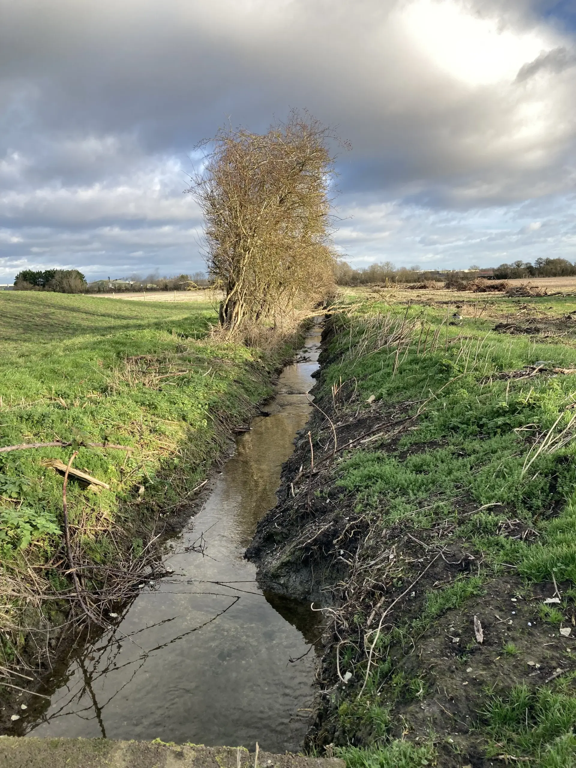 woodland-habitat-creation-in-oxfordshire-8